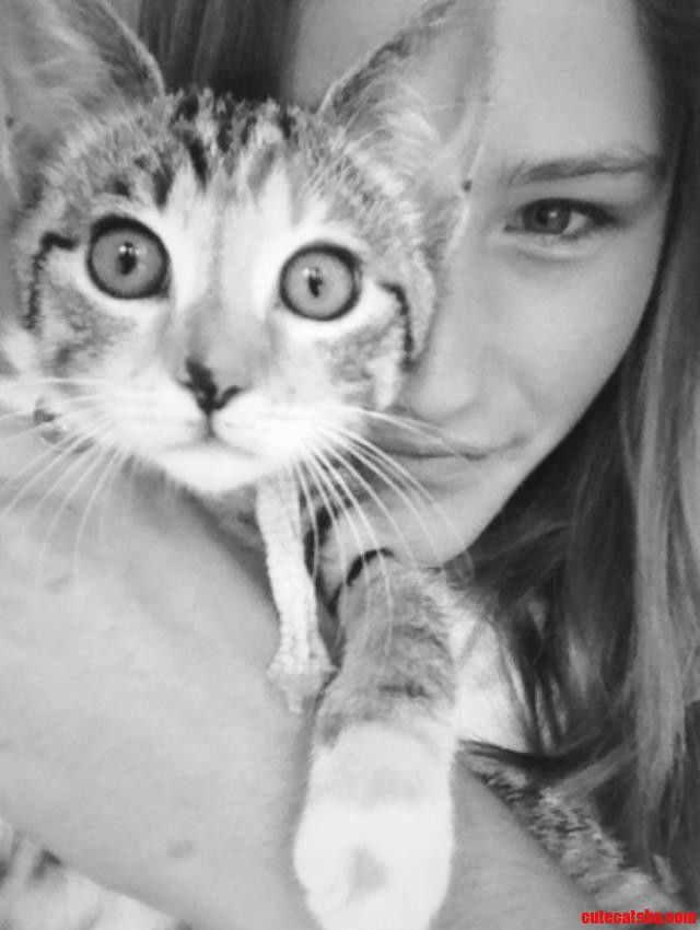 My Kitten Yolandi
