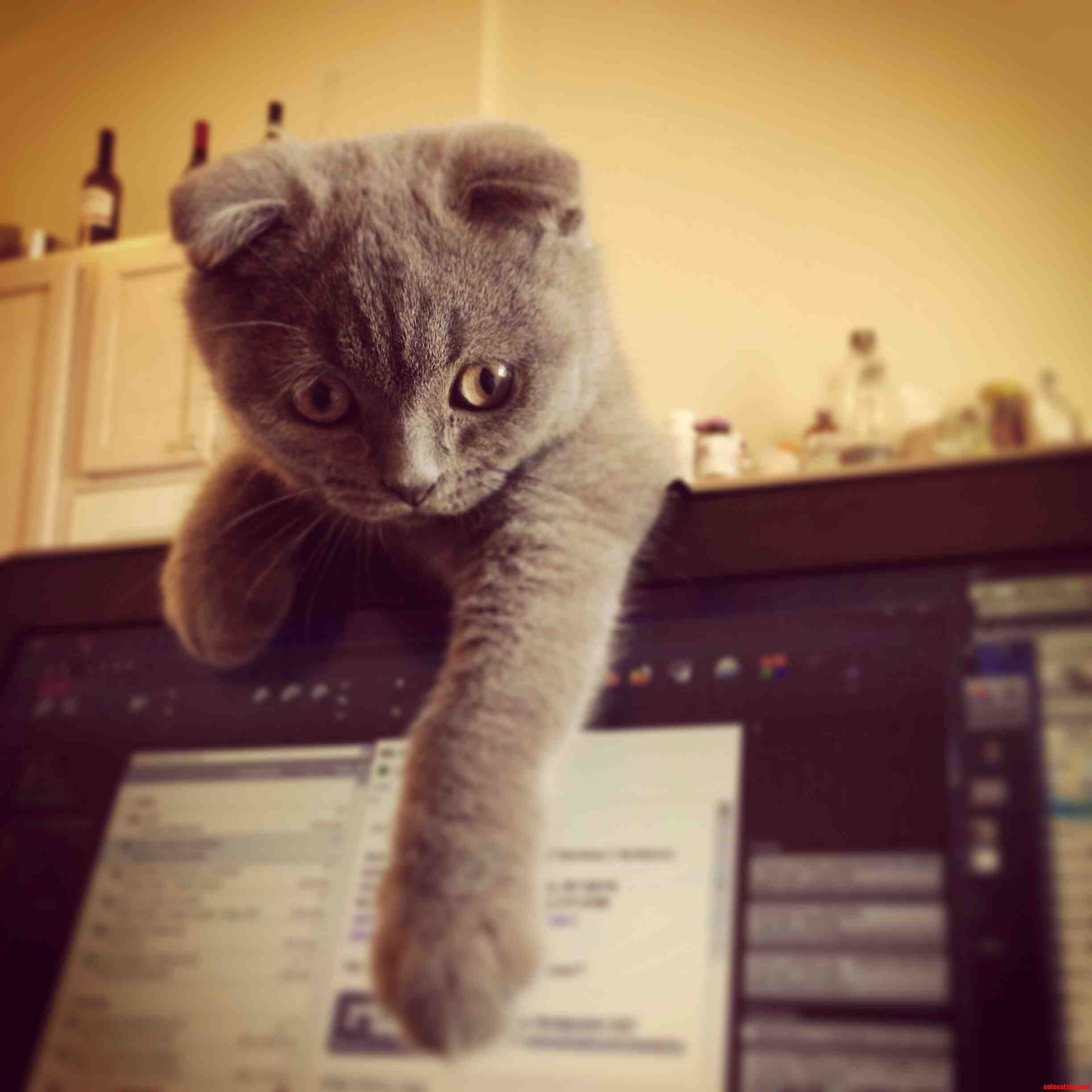 My New Admin Assistant.