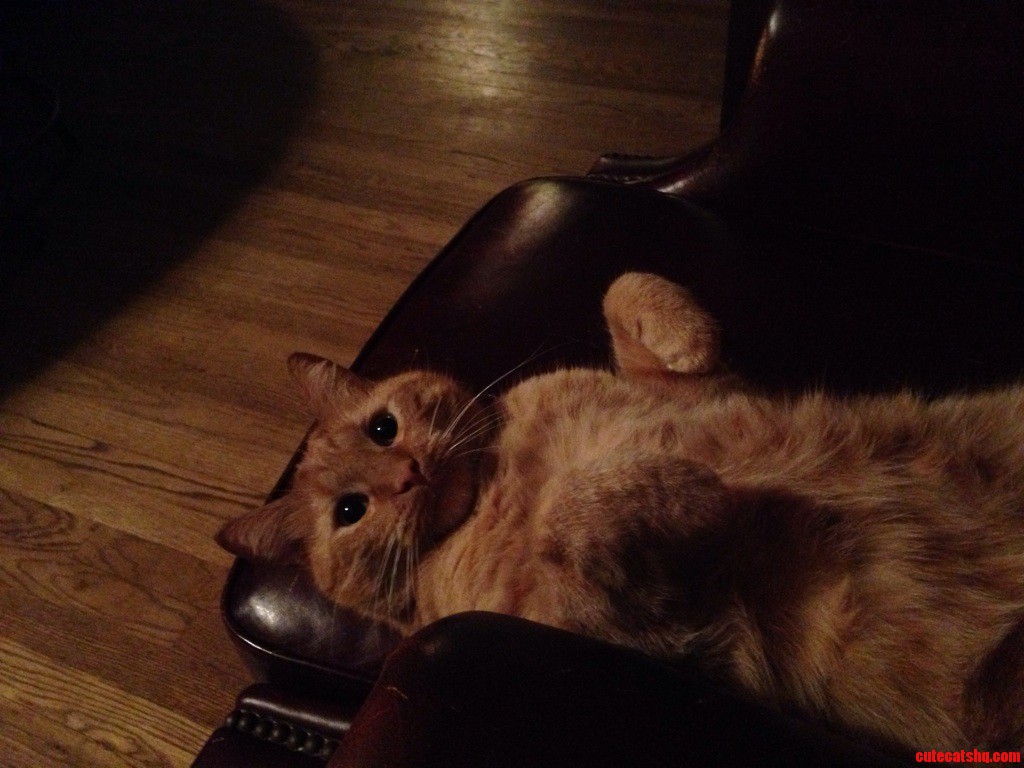 Oh Me Im Just Chillin.