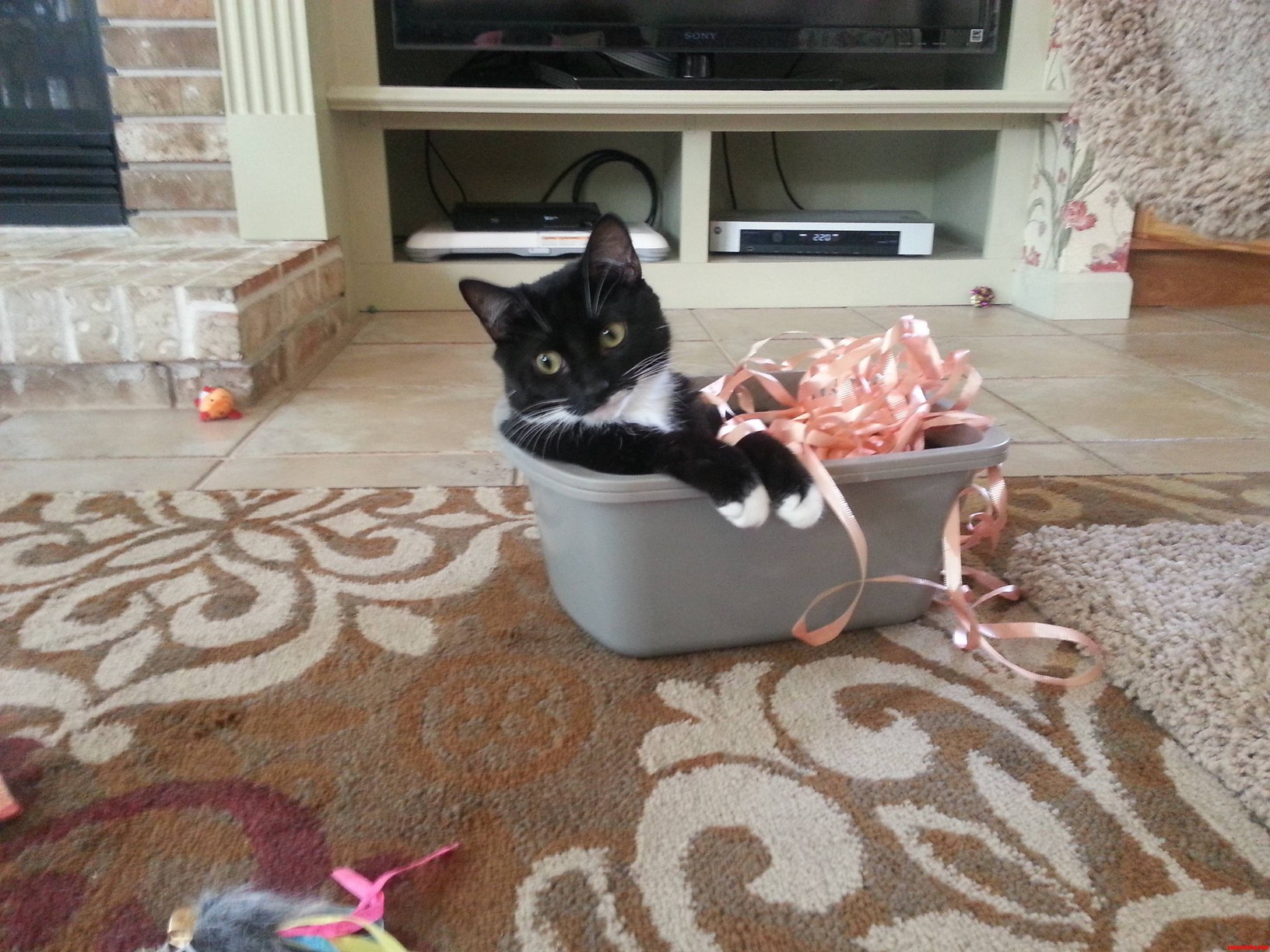 Ohh Tee Hee Hee I Love Ribbons and I Love Tubs