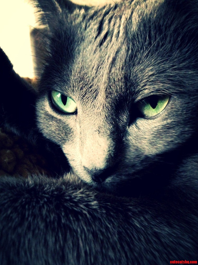 Our Pixie Dust with Beautiful Green Eyes.