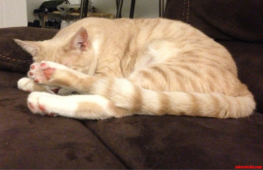 Please Guys. No Photos.