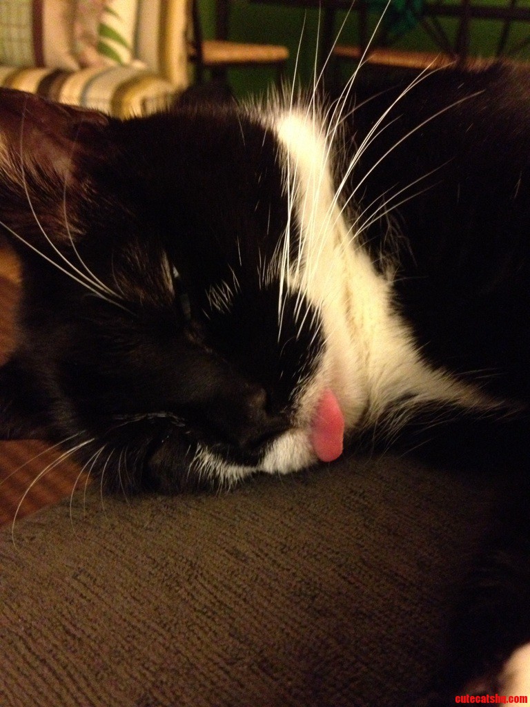 Poor Little Guy Has No Teeth .