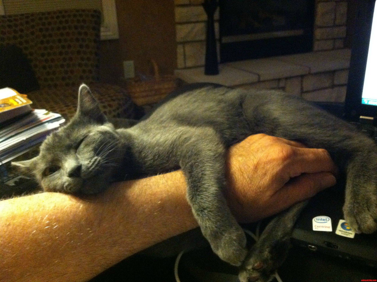 Relaxing with Dad