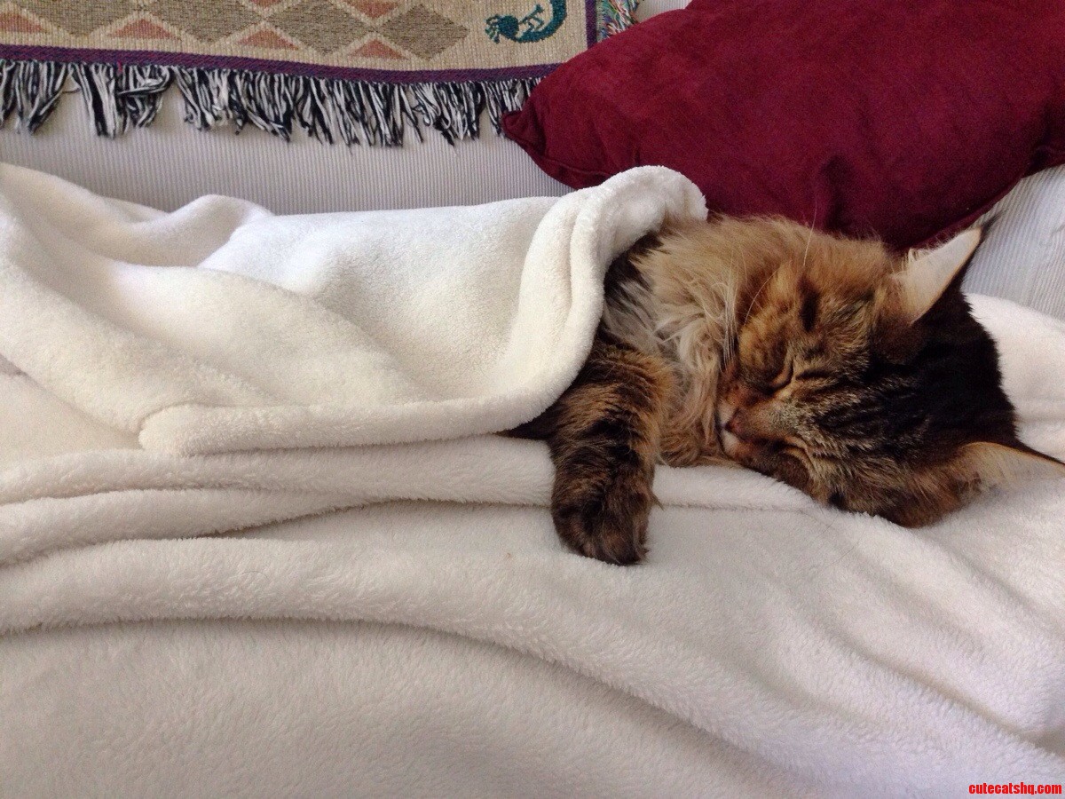 Rigby Is Taking This Change in Weather Particularly Hard