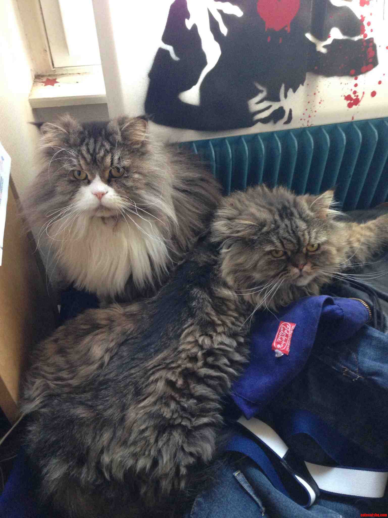 Sam and Dean Named After Supernatural Yes