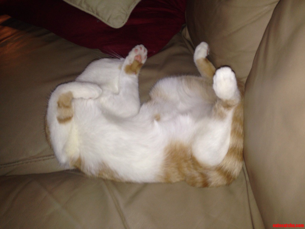 She Sleeps Like This All the Time....