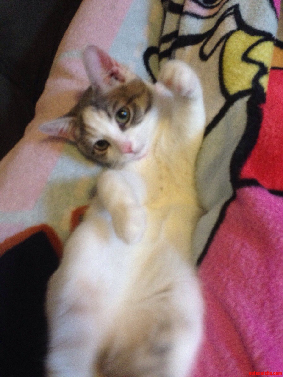 Shes a Weirdo