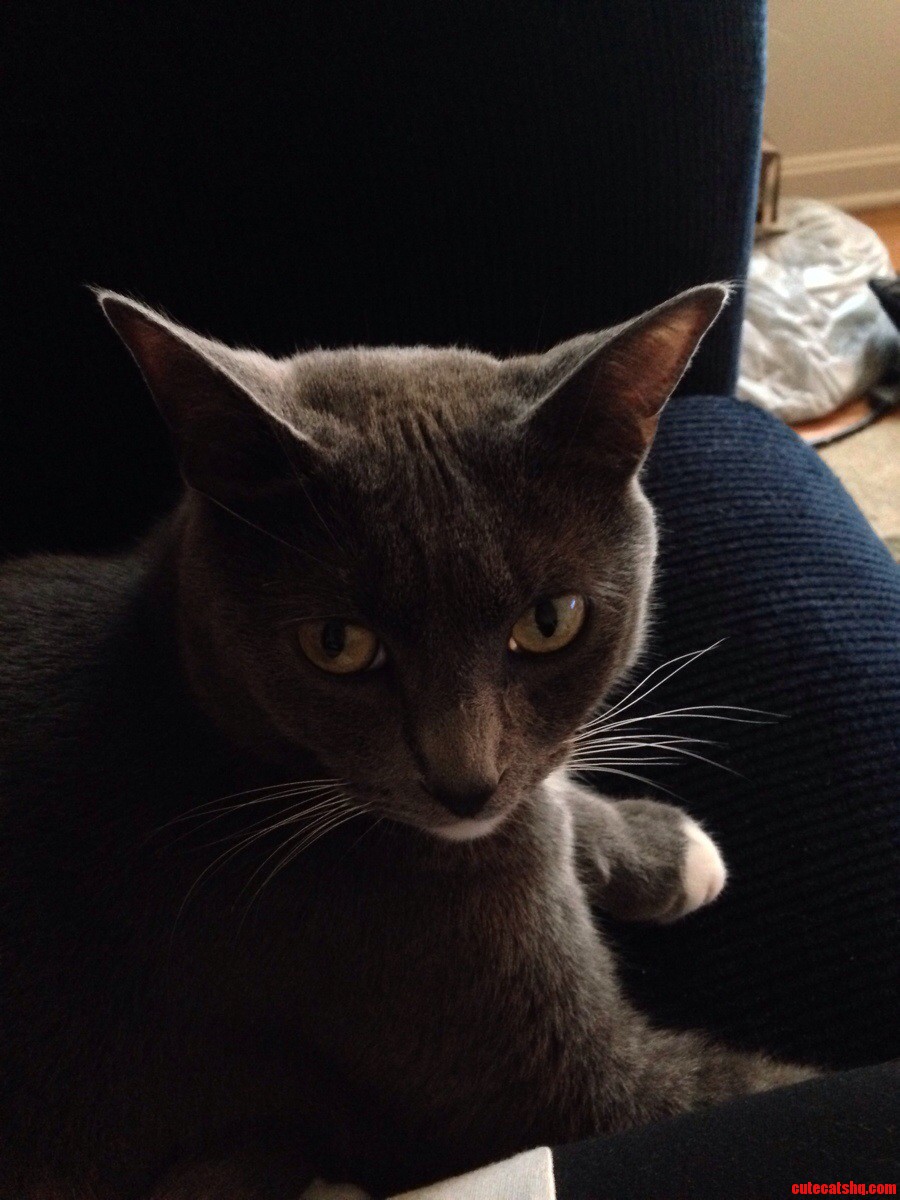 Silently Judging You.