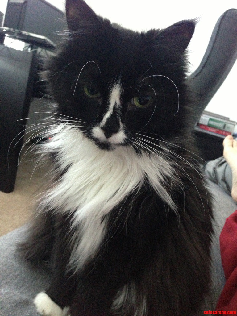 So Like You Gonna Get Up Now