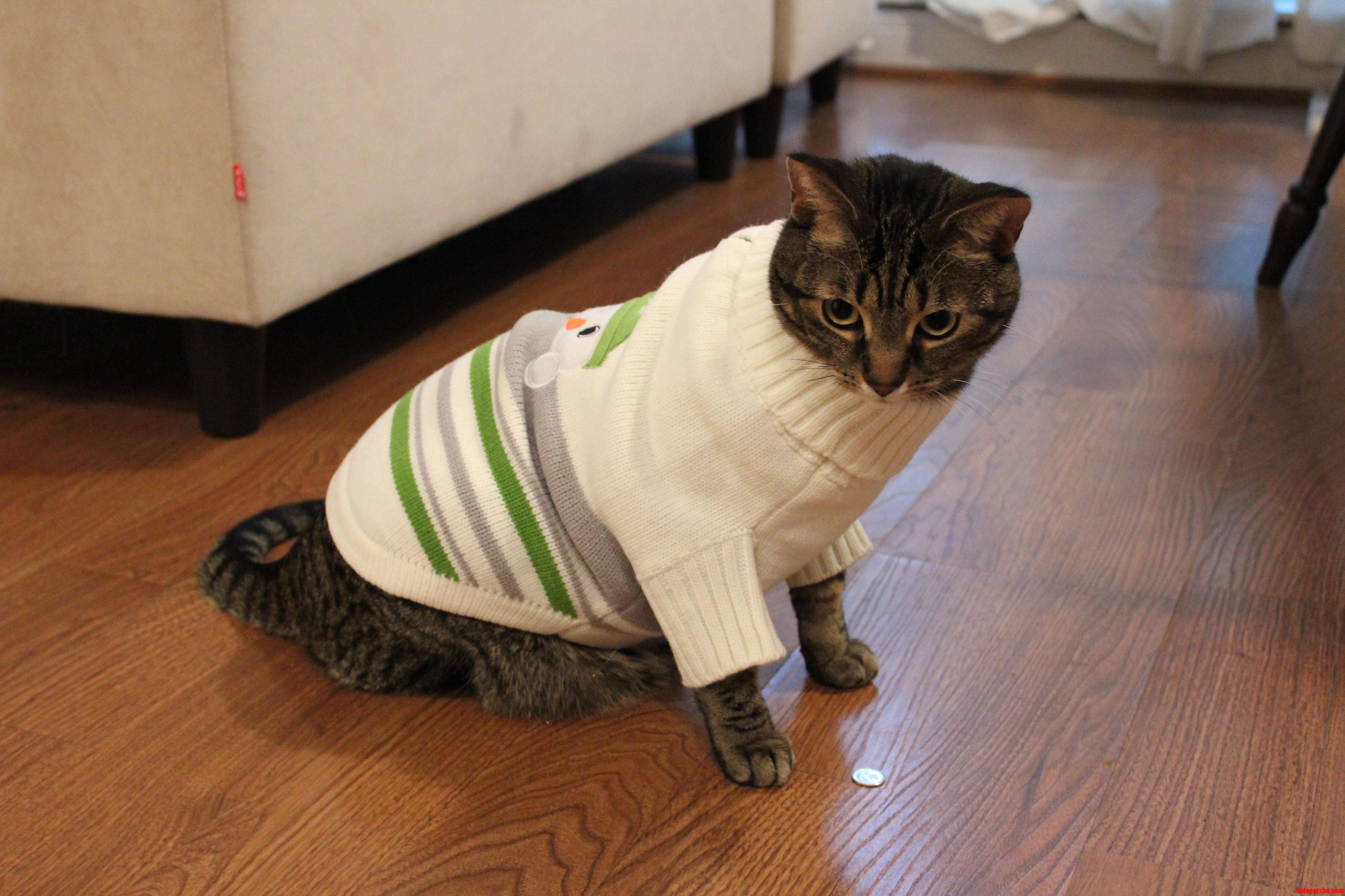 Someone Doesnt Like Their New Fall Sweater