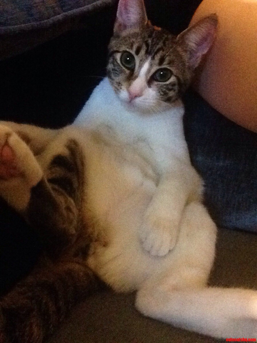 Sup
