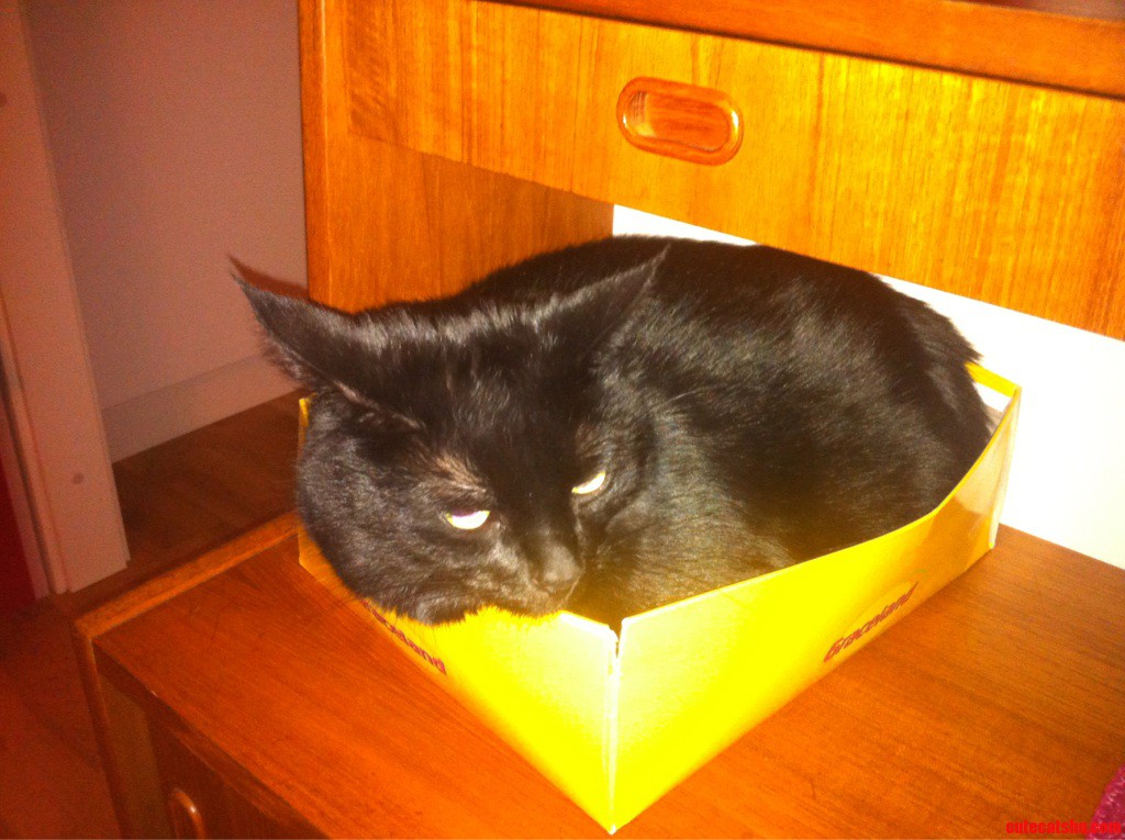 This Is My Box. There Are Many Like It but This One Is Mine.