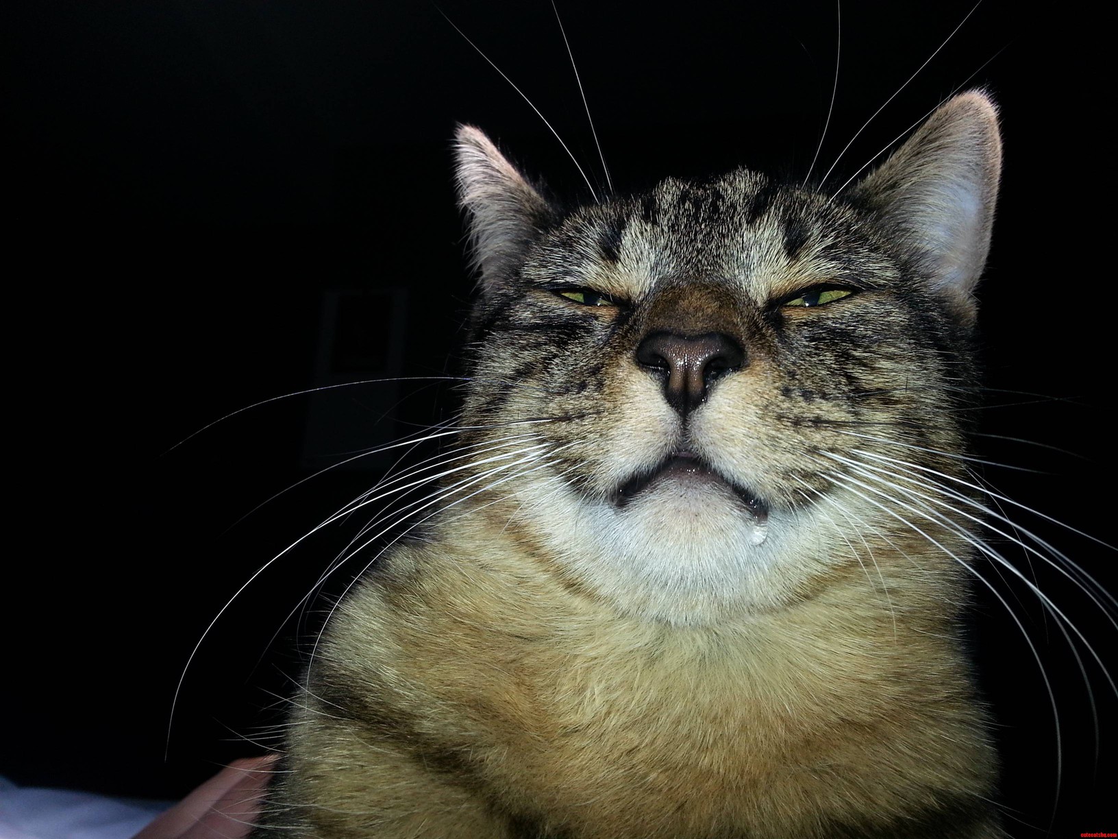 Three A.m. and I Wake Up to This.