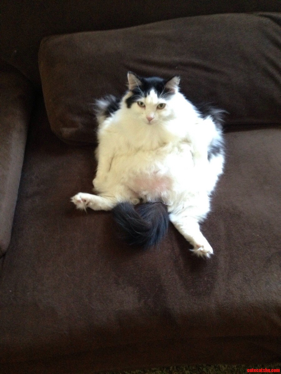When She Sits Around the House She Really Sits Around the House.