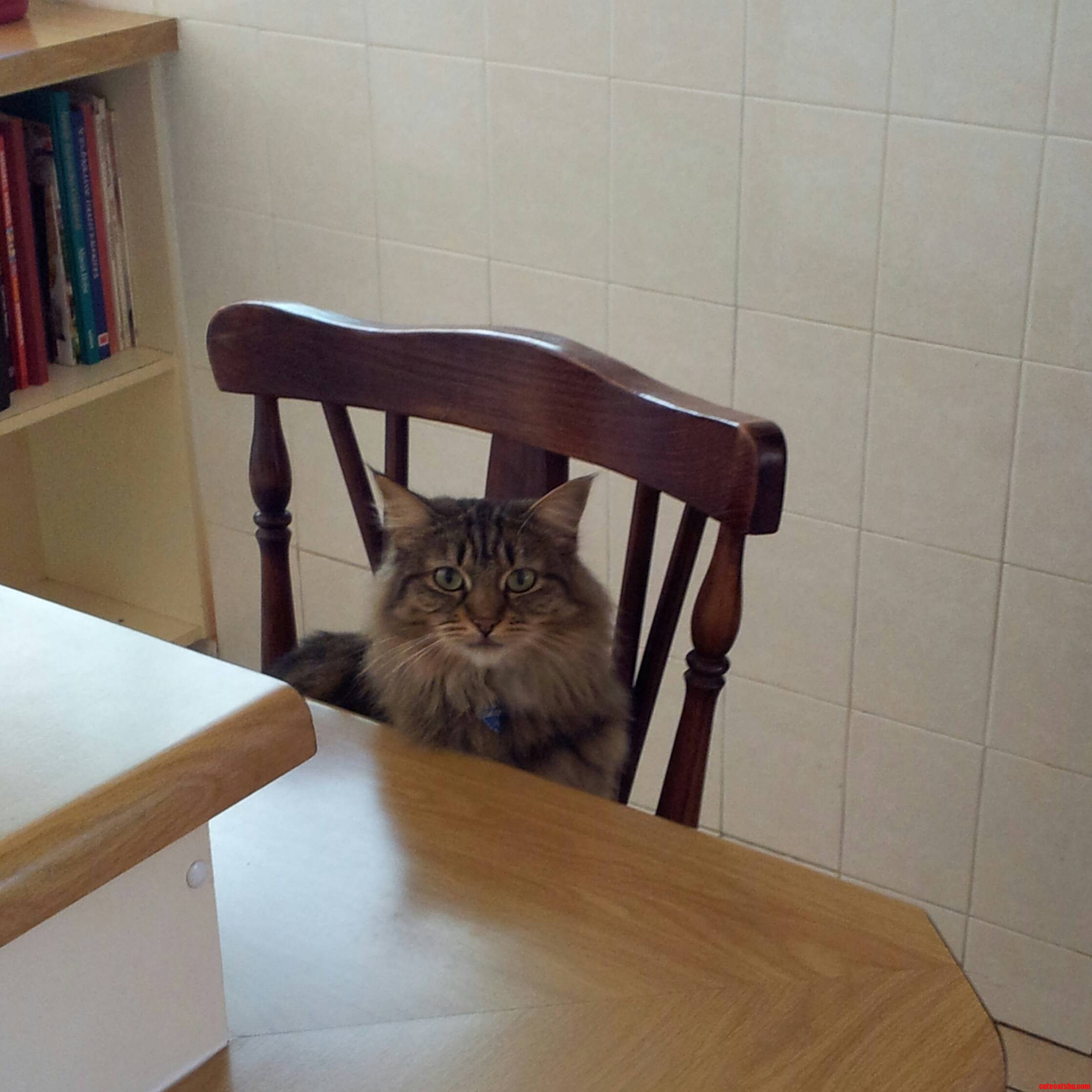 Wheres Lunch