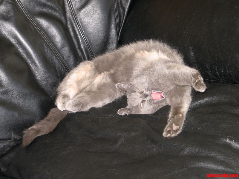 Who Dares Disturb Me from My Slumber