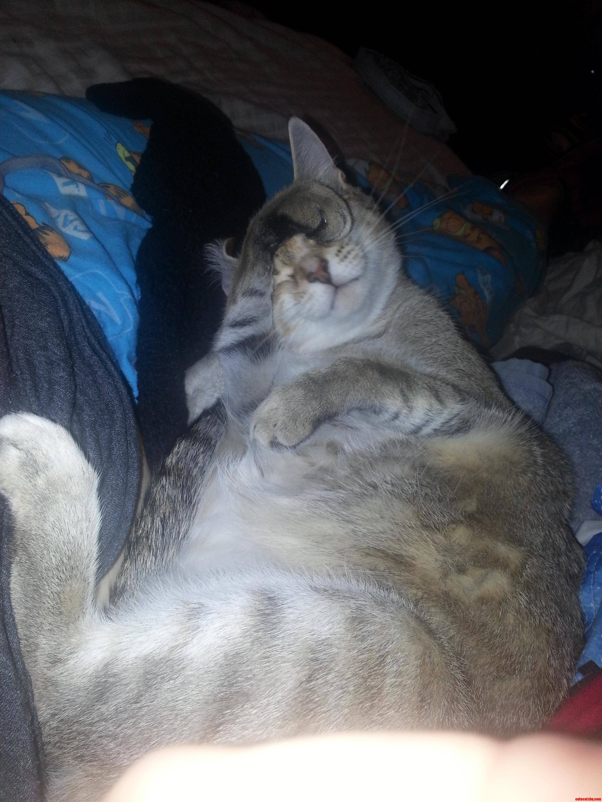 Why I Am Late for Work This Morning.