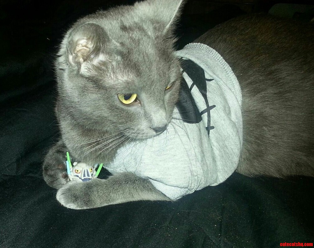 You Cant Have My Angry Bird