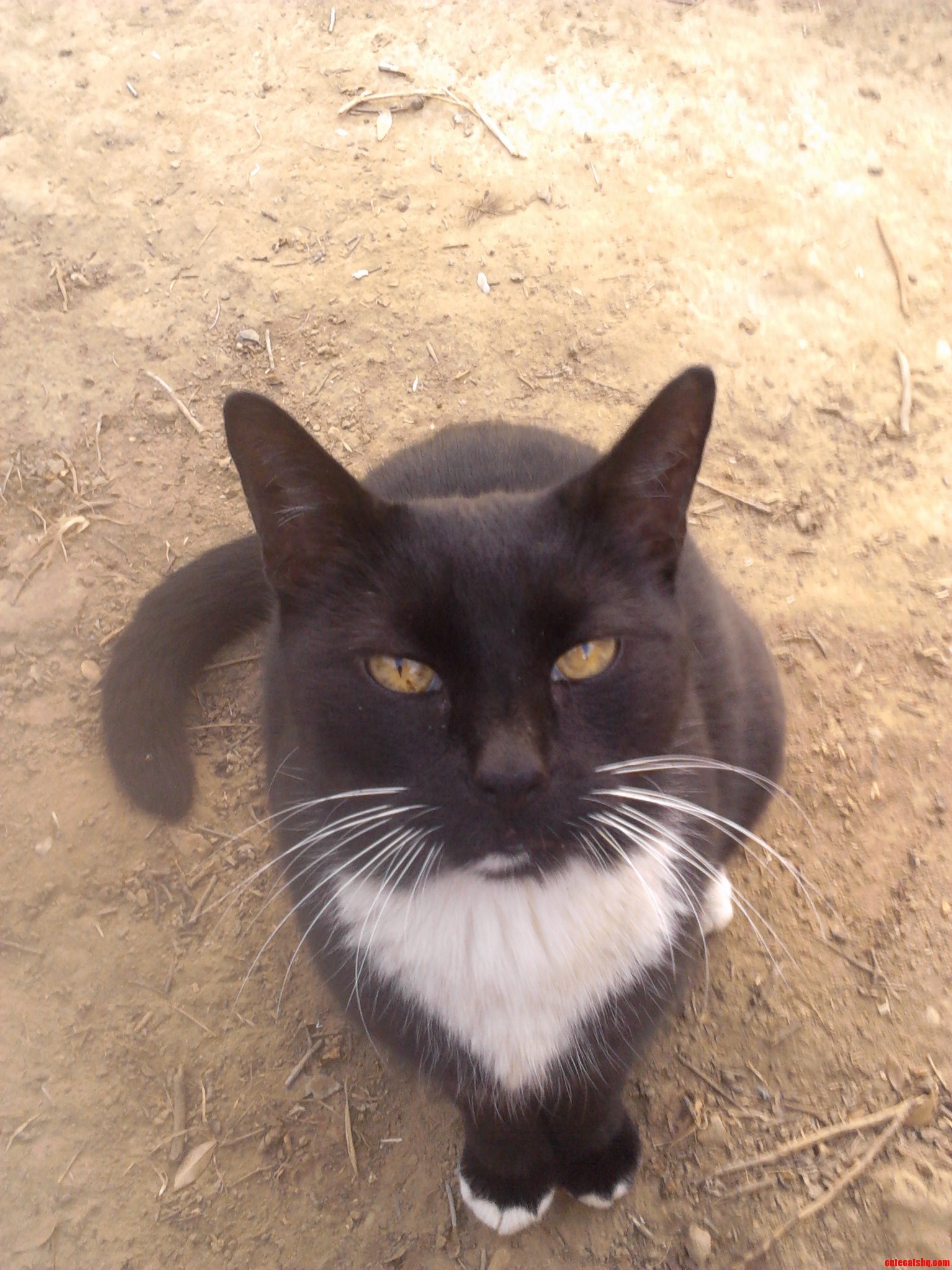 13 This Year and Still Looks As Handsome As Ever in His Winter Coat.