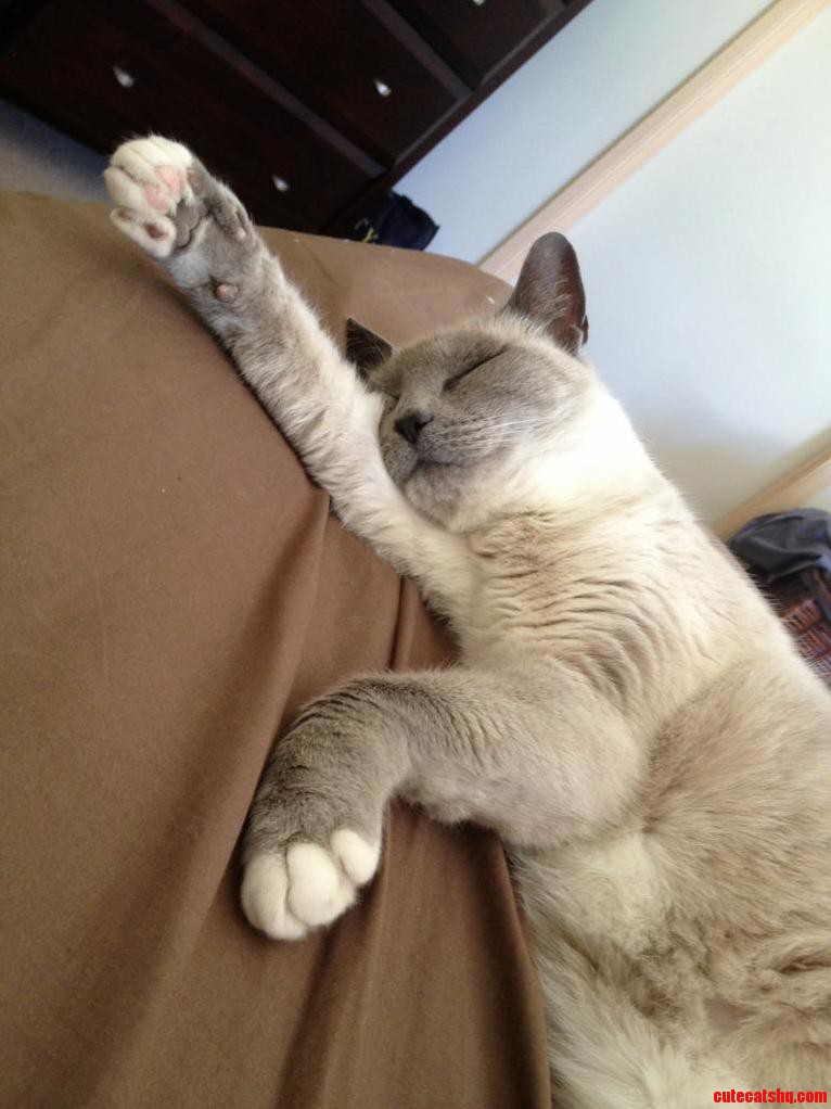 Adorable Bugs Bunny Paws