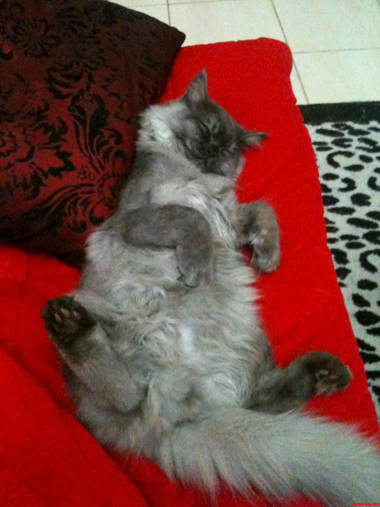 After a Heavy Meal....
