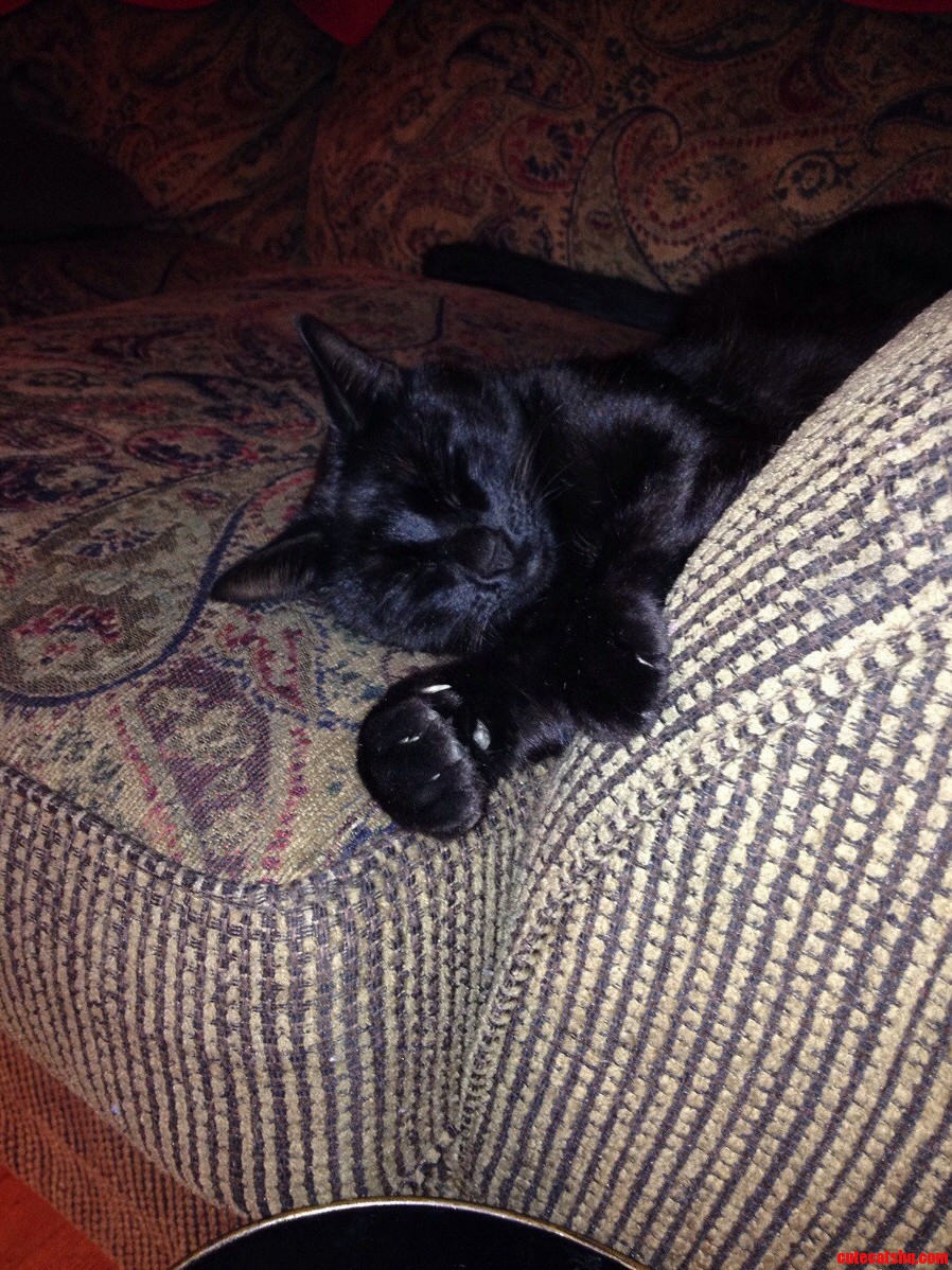 After Killing Two Squirrels Today Hes Wiped Out.