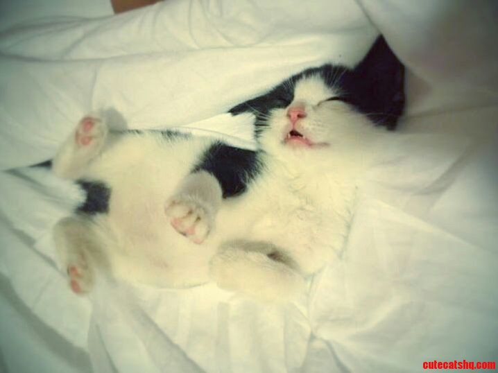 All Pooped Out After a Long Day.