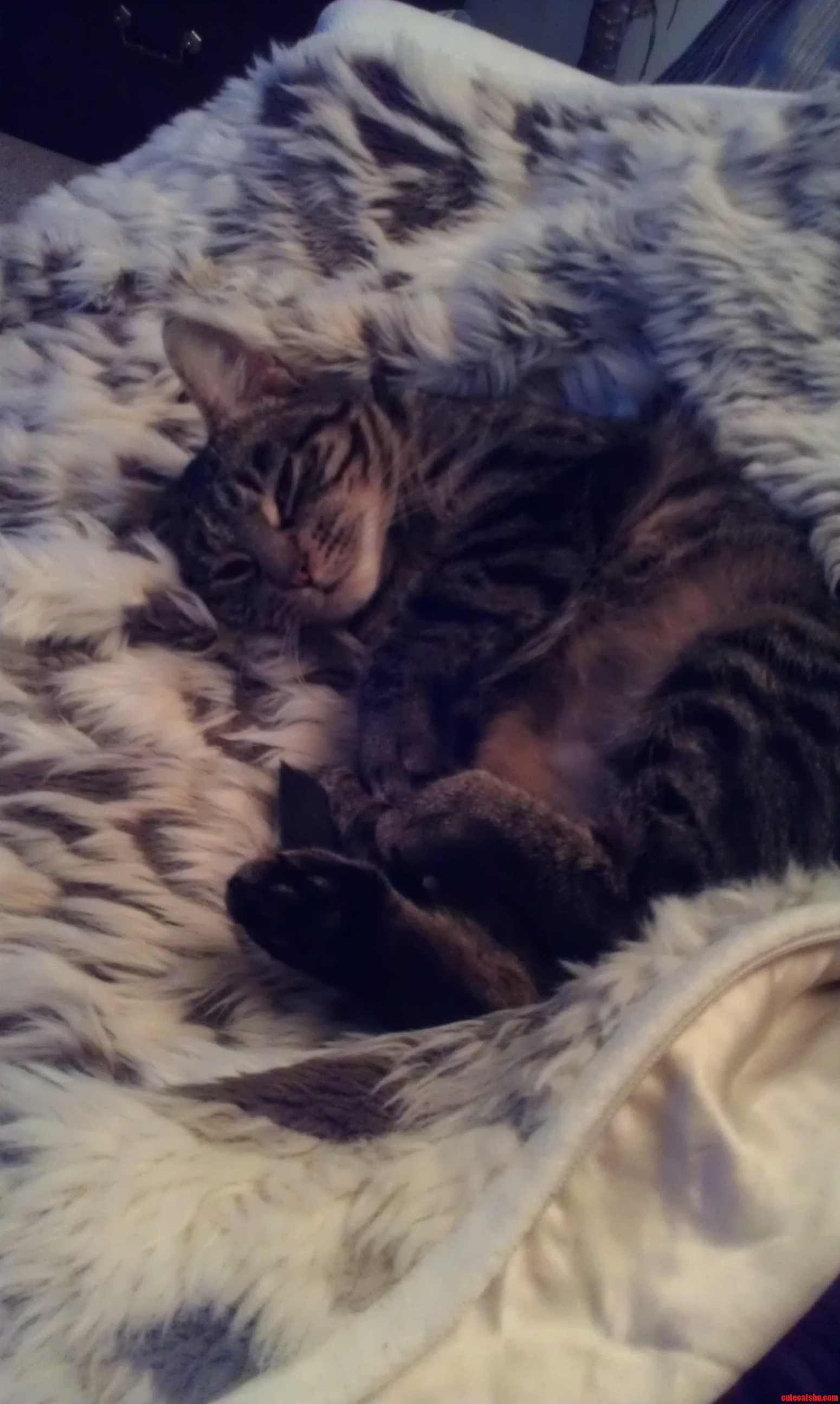 All That Play Was Exhausting