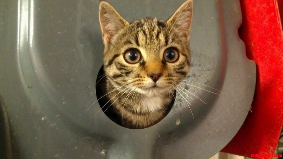 Always Curious.