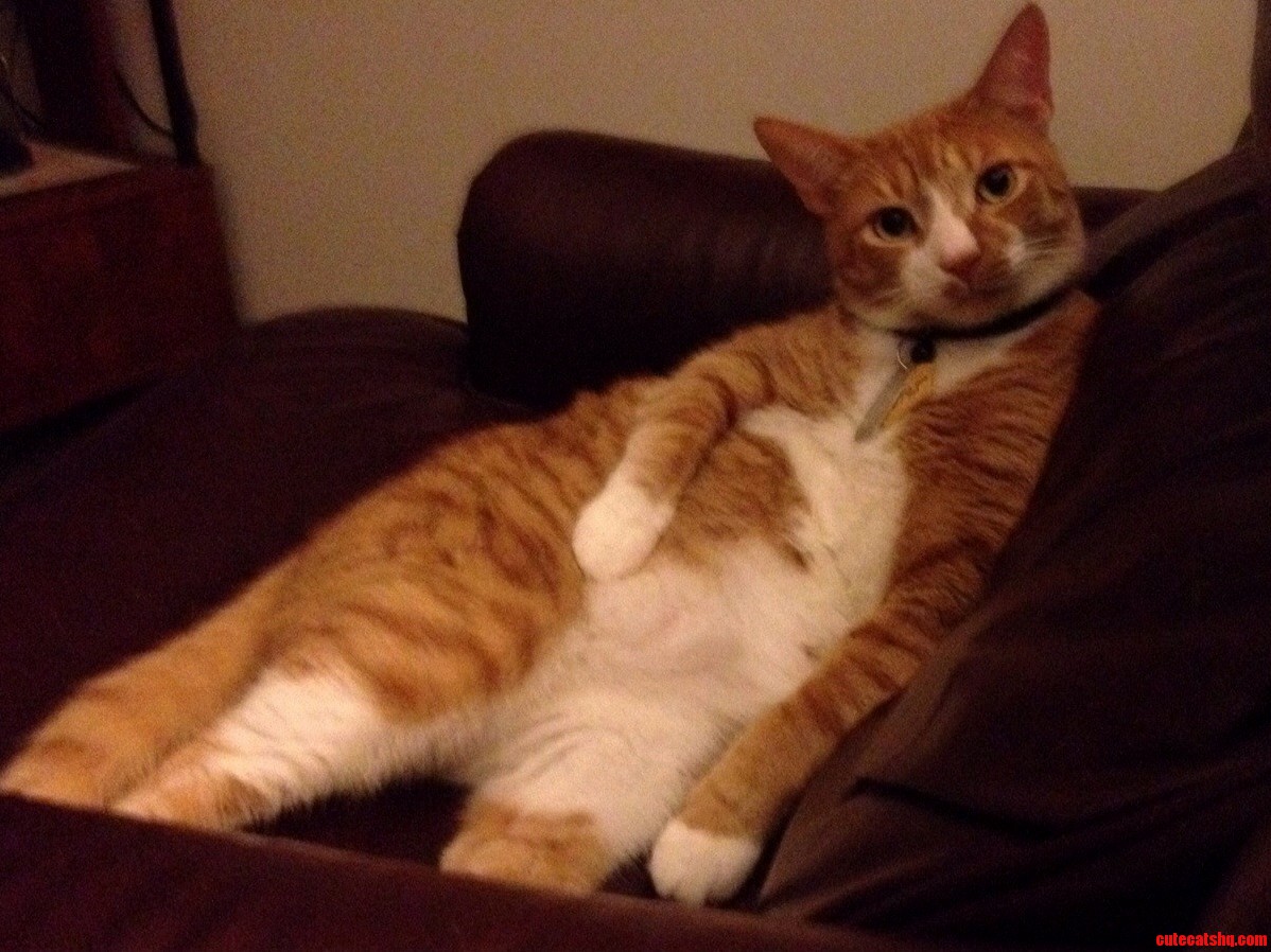 Am I Not Luxurious