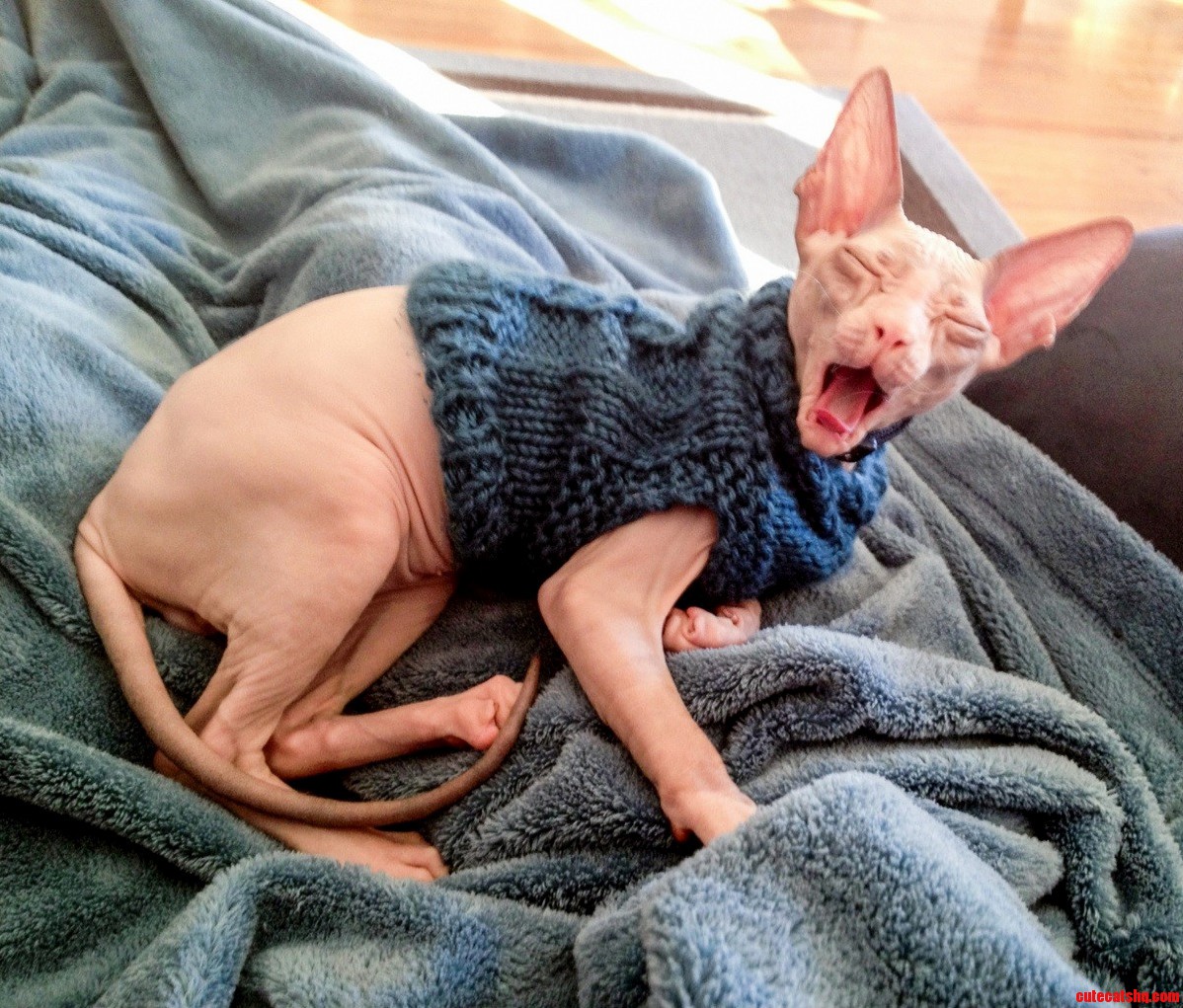 And Iiiiiiii... Will Always... Loooove Yooouuuu