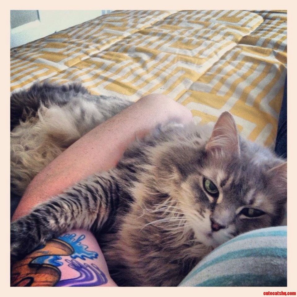 Appropriate for Today. I Present Lux. 13 Years and Going Strong.