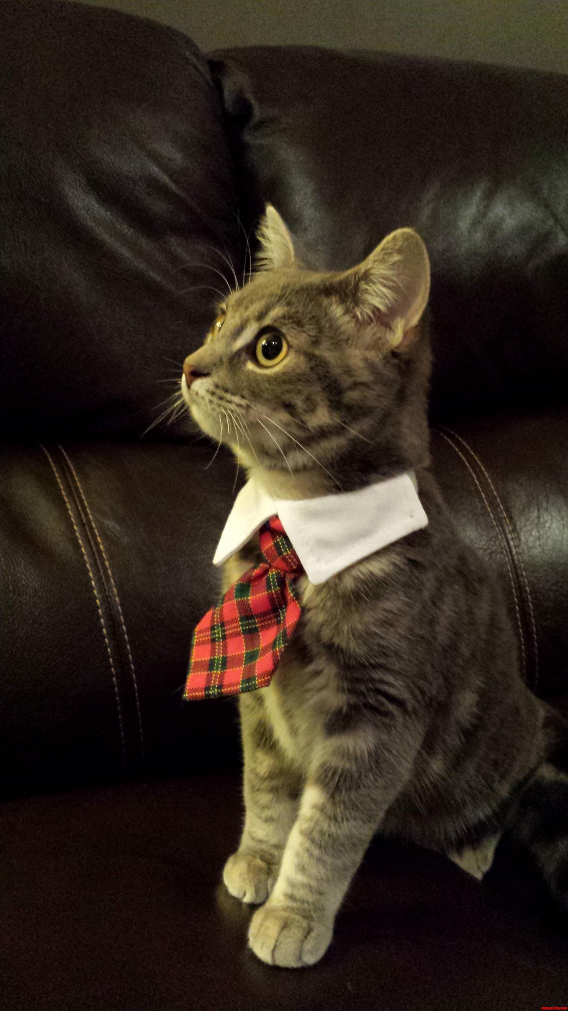 Archer Means Business...