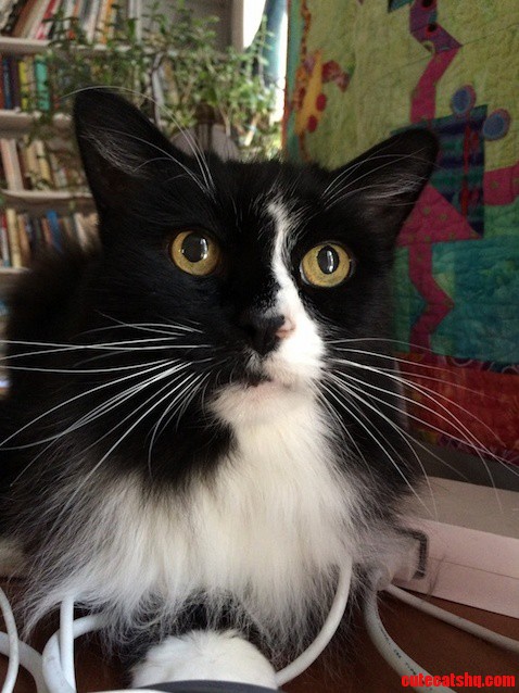 At 18 He Is Still a Looker and a Charmer