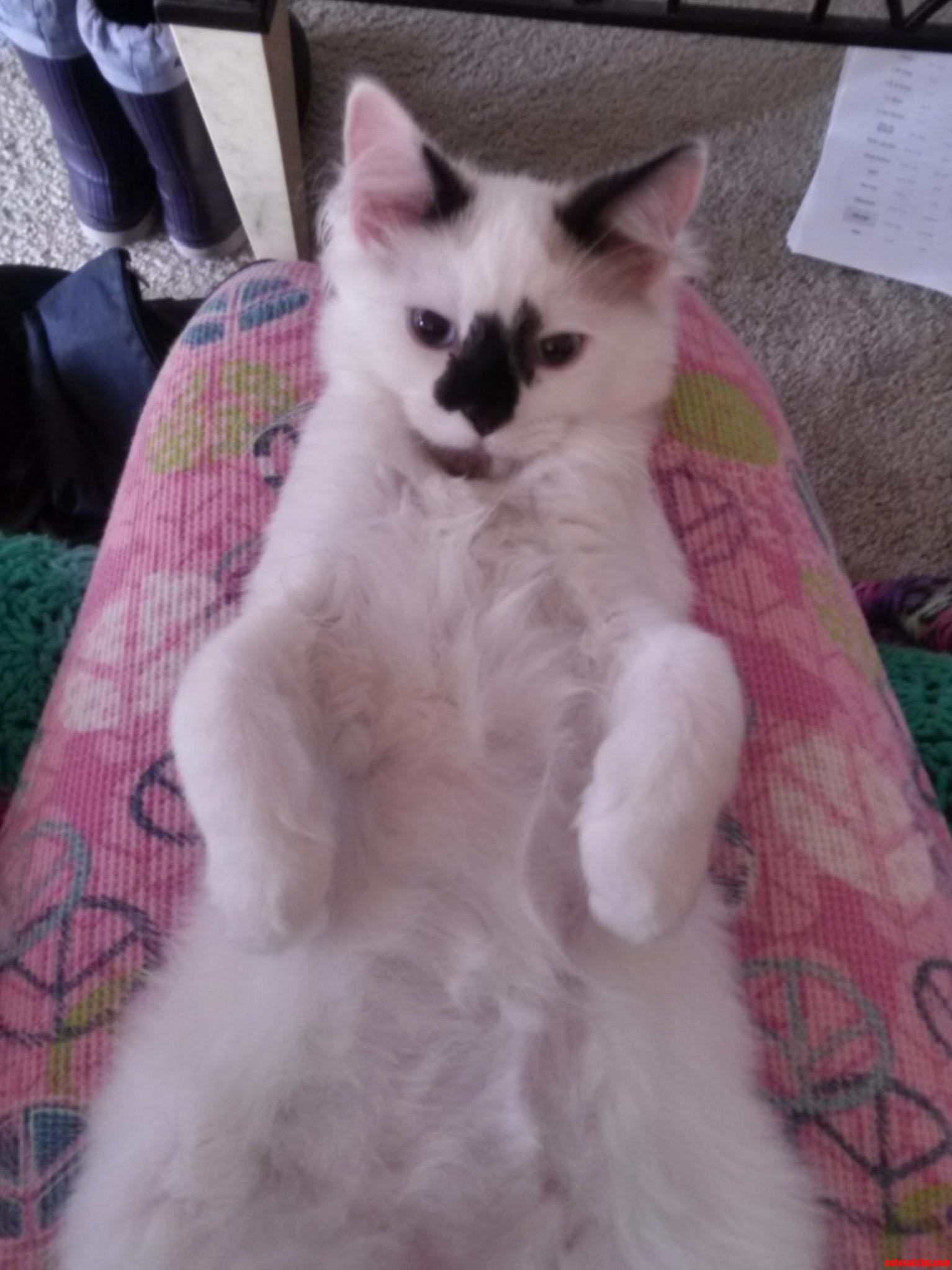Baby Hodor Just Hanging Out