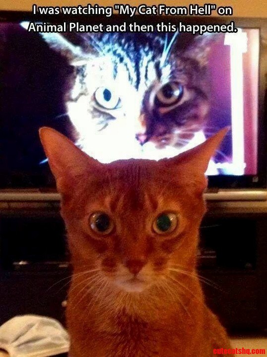 Bad Omen