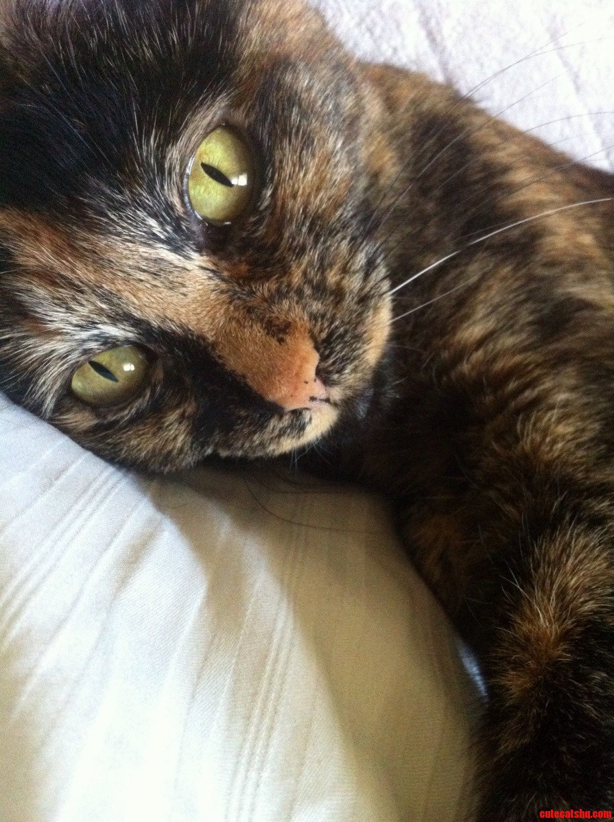 Beautiful Tessa