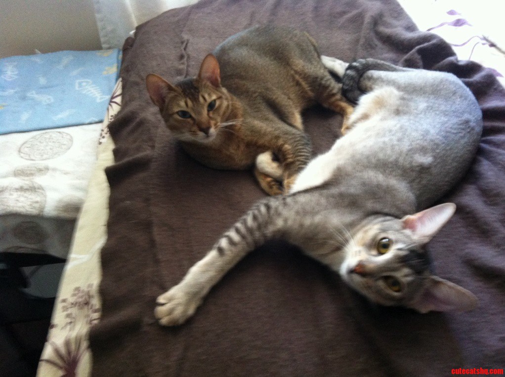 Best Buds