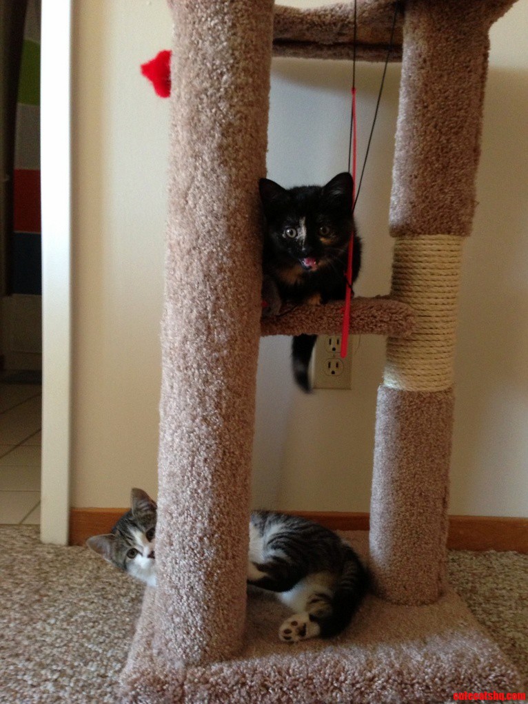 Best Picture I Could Get of These Two Together.