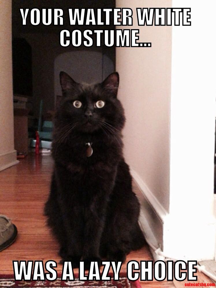 Black Is for Sarcastic.