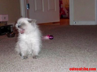 Bless You Little One
