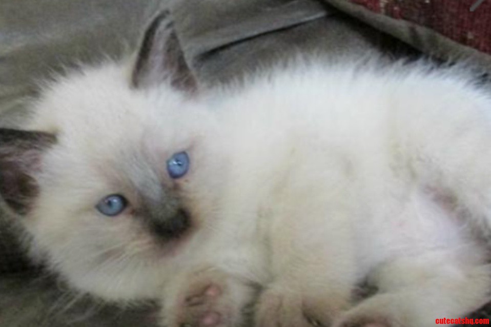 Blue Eyes Get Me