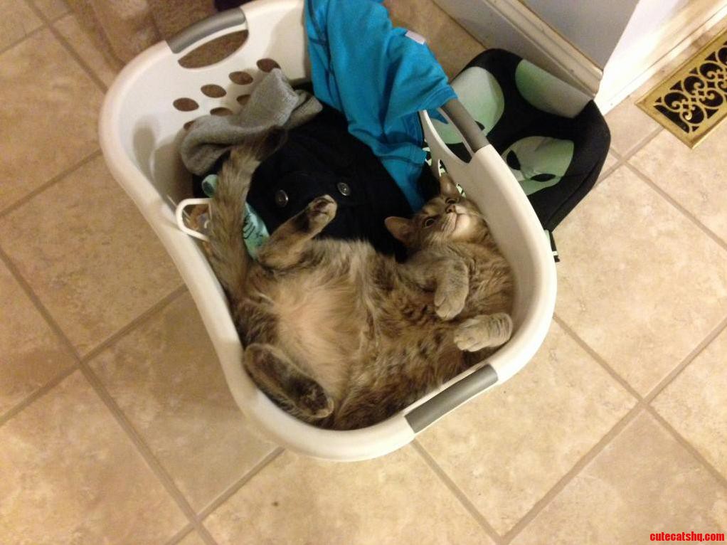 Bowser Likes Wash Baskets