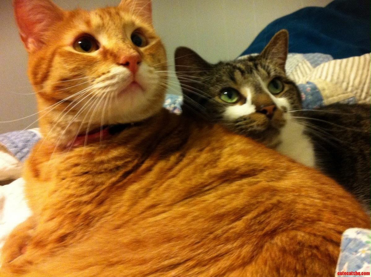 Boys Look Up Here So Mommy Can Show the Internet How Cute You Are When You Cuddle