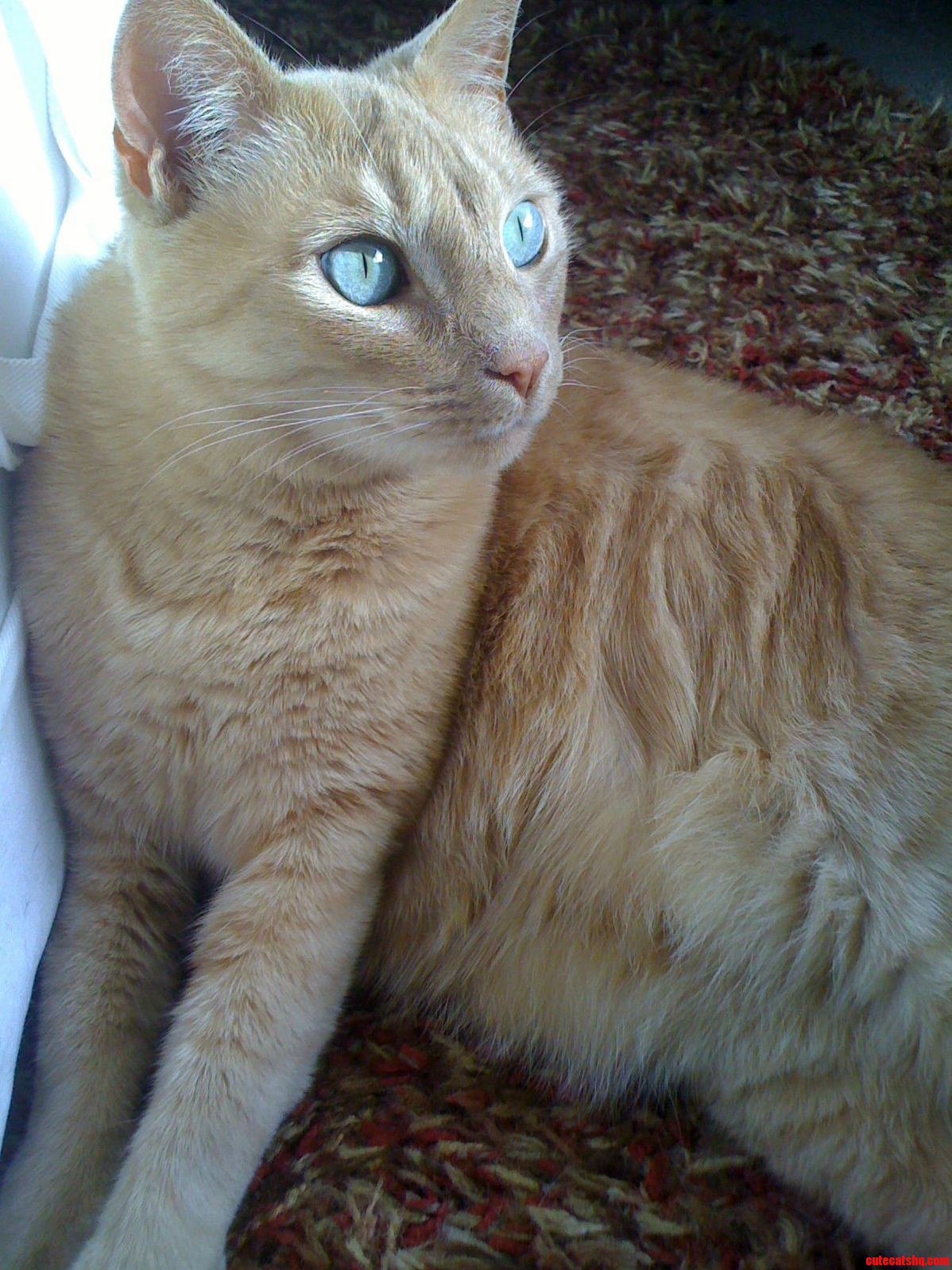 Bright Eyes... Stop Staring at the Sun