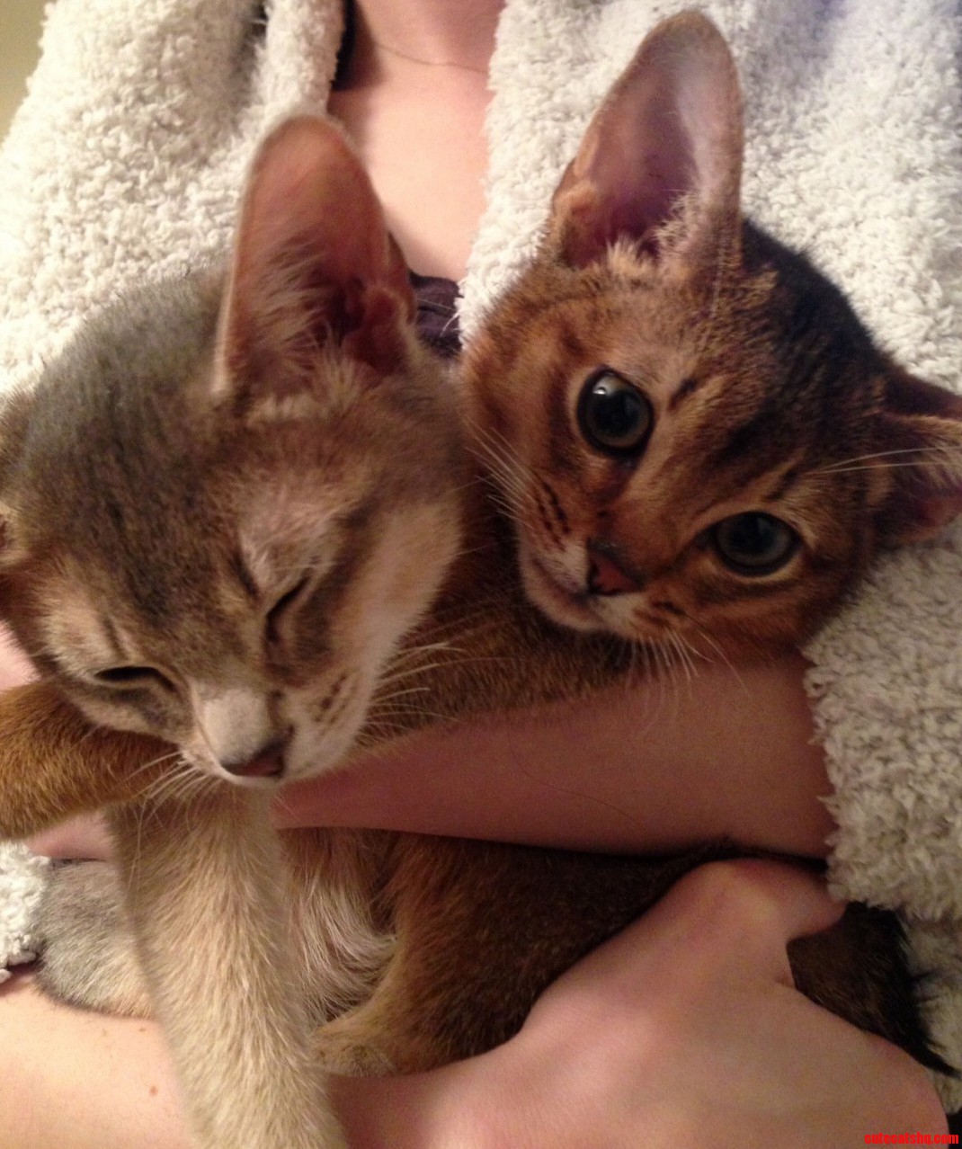 Brother and Sister Just Turned 1 Year Old Today