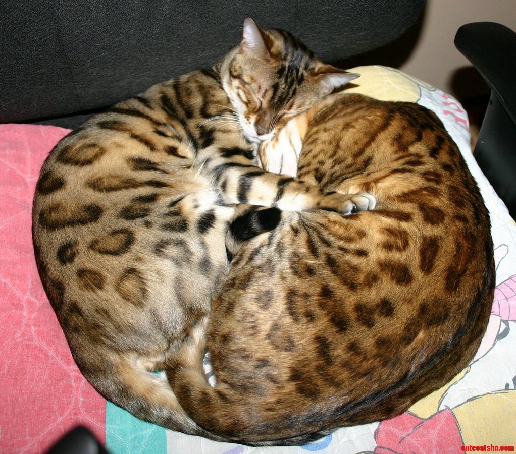 Brother and Sister