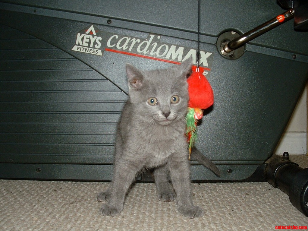 Brought This Little Girl Home Today. Meet Avacyn