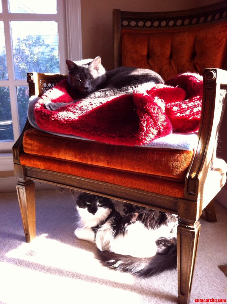 Bunk Beds